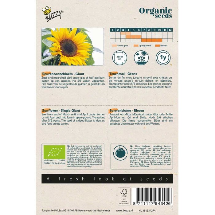 Buzzy Seeds® Organic Sunflower - Giant (BIO)