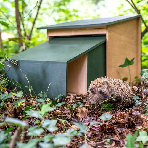 Hedgehog House XL