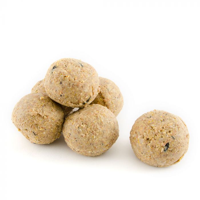 fat balls with mealworms