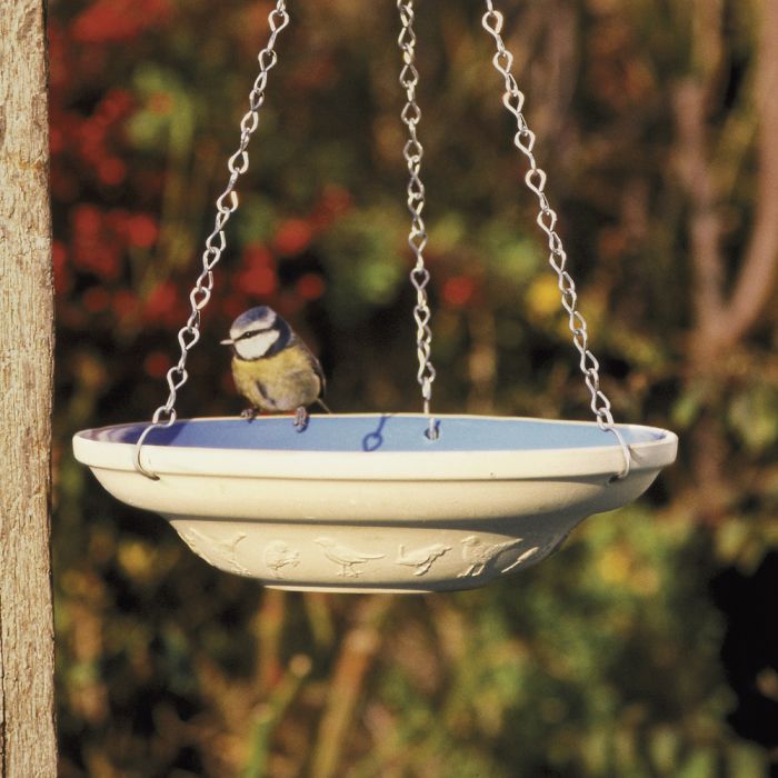 bird table water dish