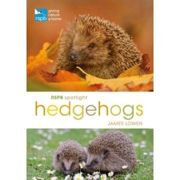 RSPB Spotlight: Hedgehogs Book