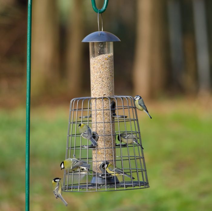 guardian with 6 port seed feeder