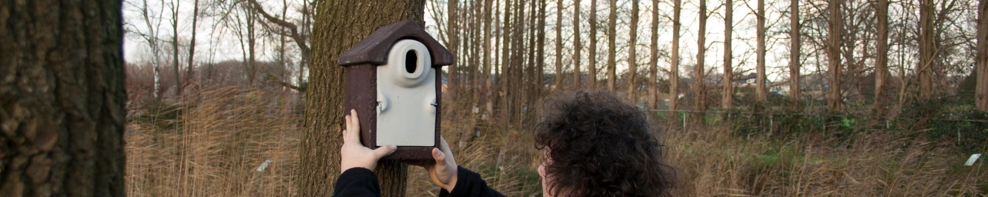 How to hang a nest box