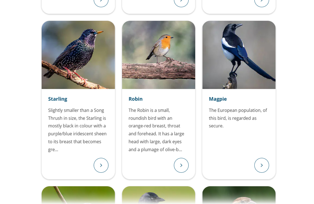 Screenshot of Birdfood.co.uk's Animalpedia - Different garden bird species showcased