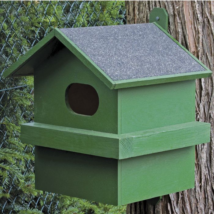 red-squirrel-house